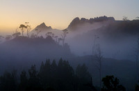 Cradle Mountain Mist